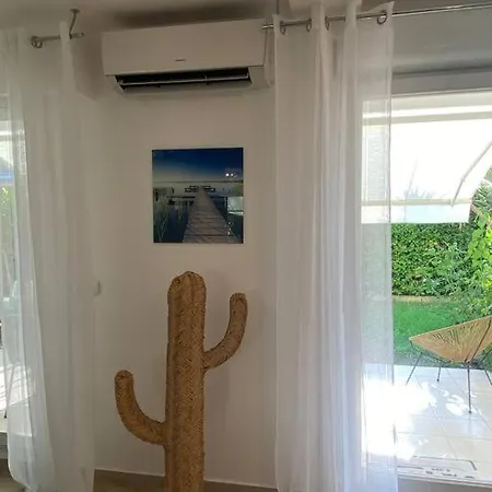 Les Eucalyptus Dans Domaine Prive A * Cannes