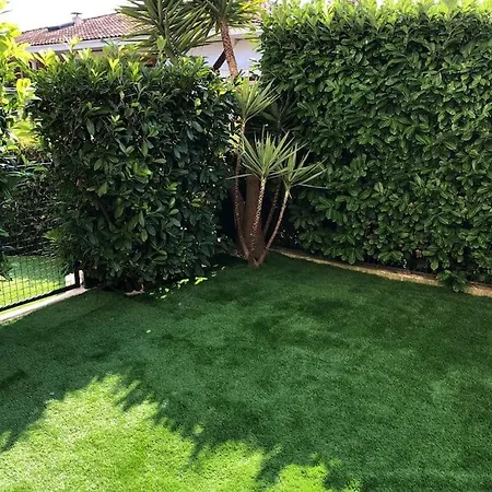 Les Eucalyptus Dans Domaine Prive A * Cannes