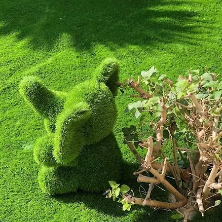 Les Eucalyptus Dans Domaine Prive A