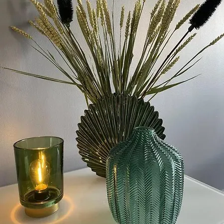 Les Eucalyptus Dans Domaine Prive A *